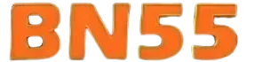 bn55 game